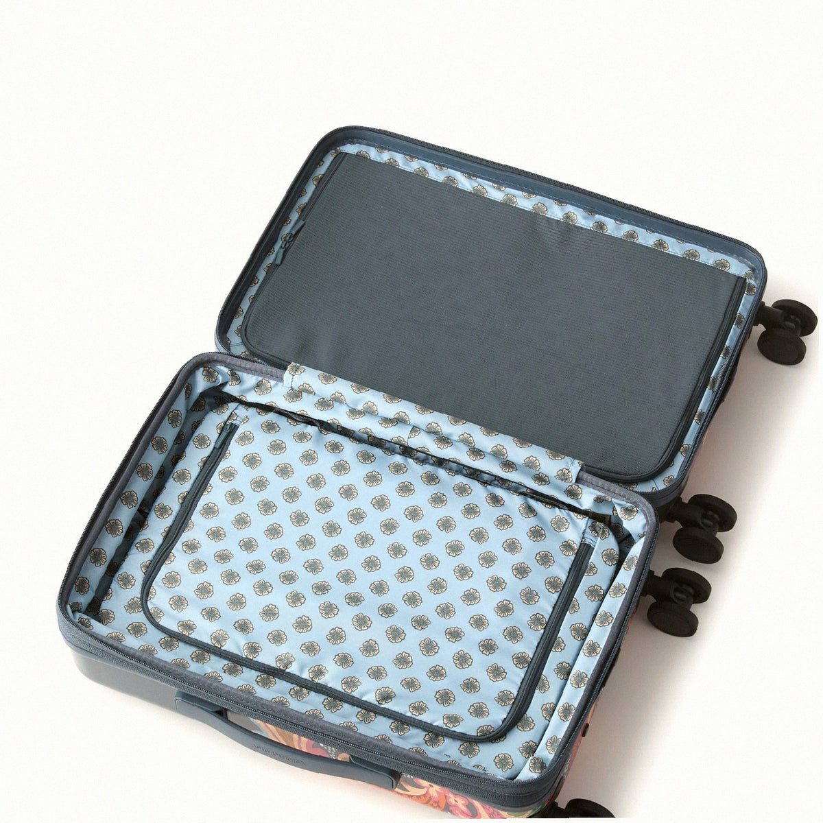 22 Adair Spinner