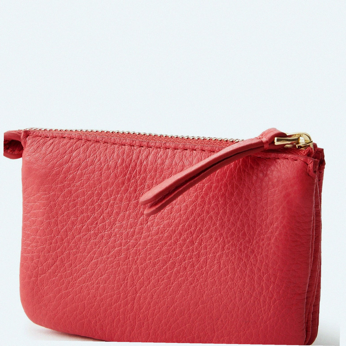 Accordion Card Case