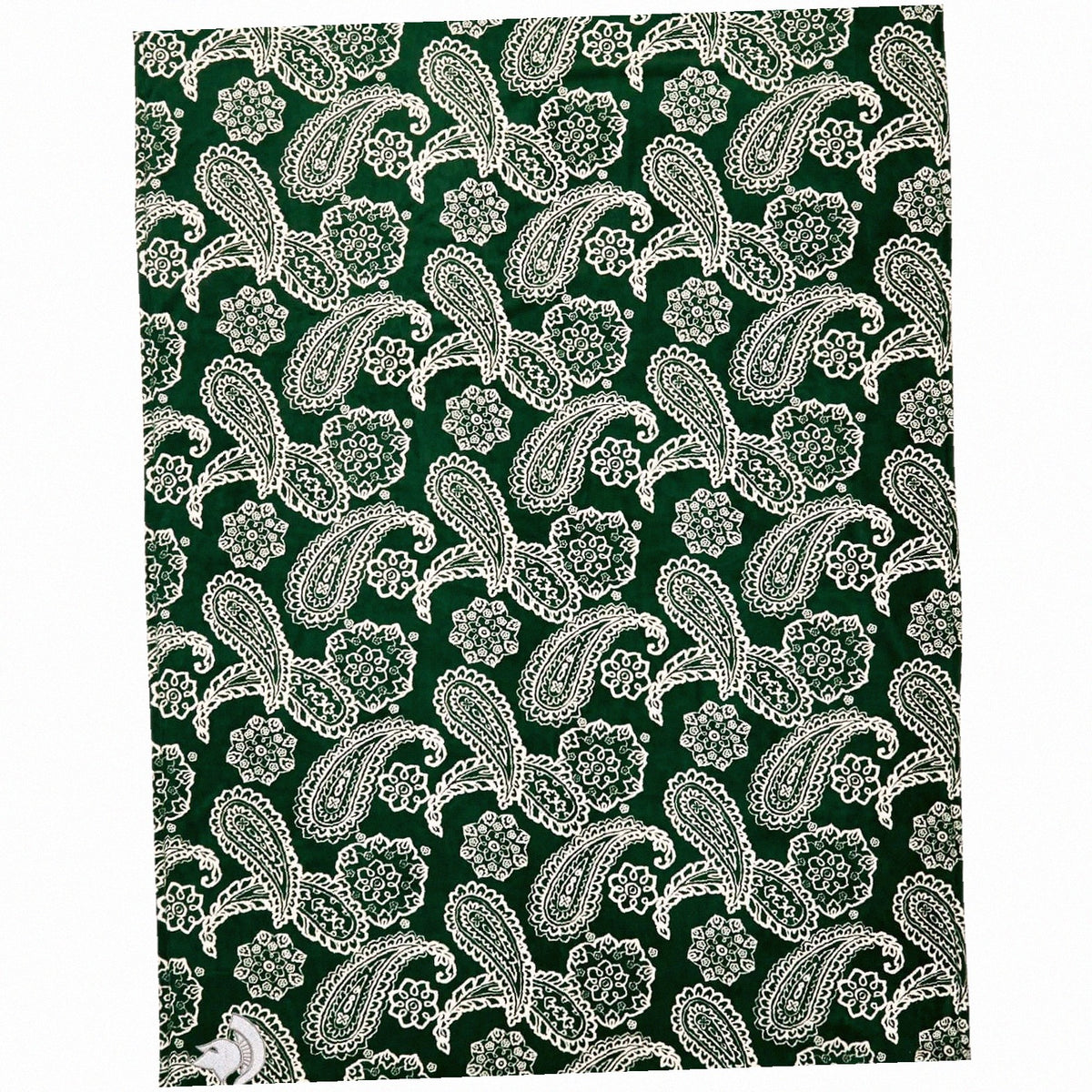 Collegiate Plush XL Throw Blanket