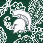 Collegiate Plush XL Throw Blanket