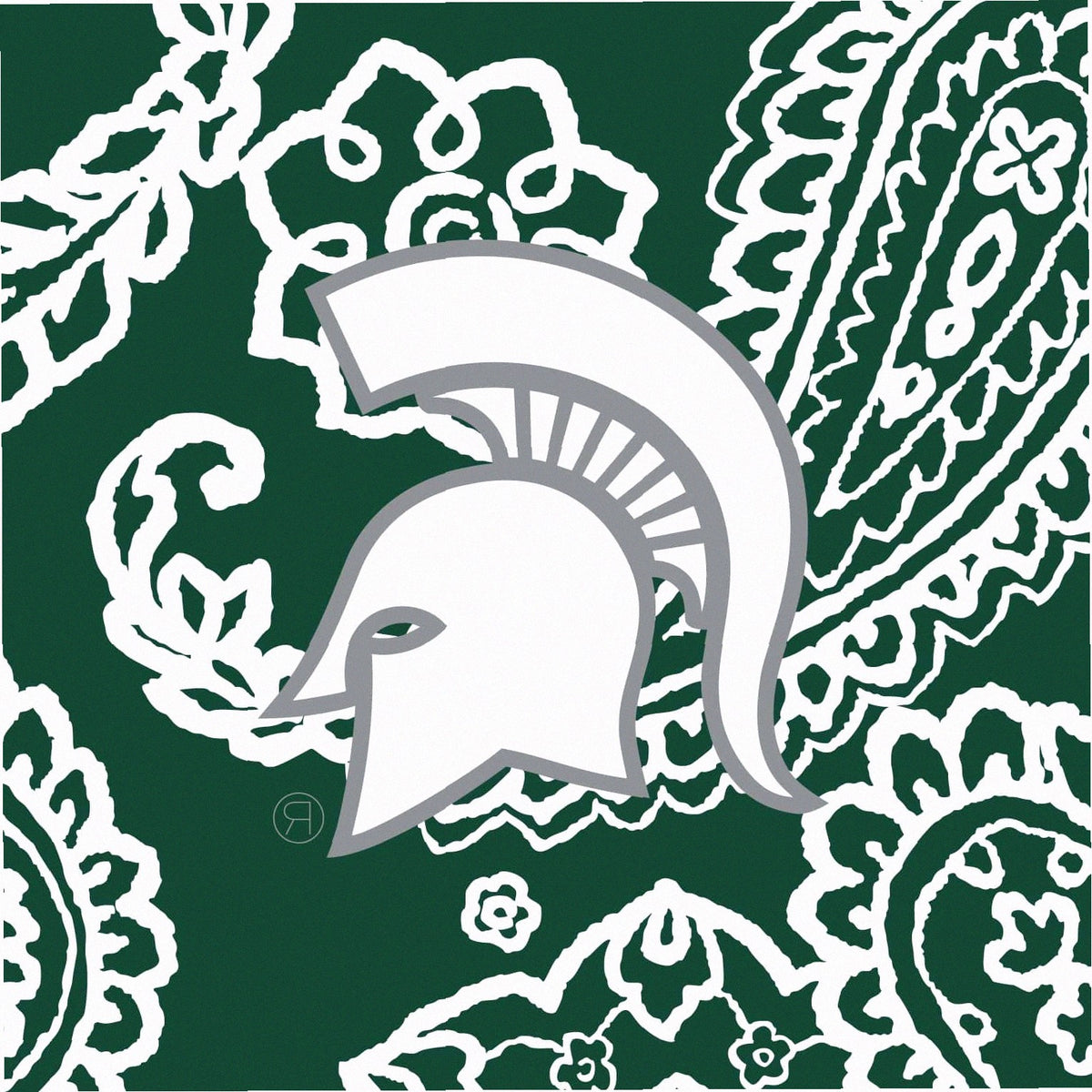 Collegiate Plush XL Throw Blanket