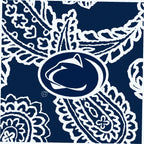 Collegiate Plush XL Throw Blanket