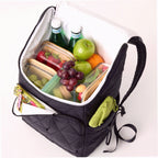 Cooler Backpack