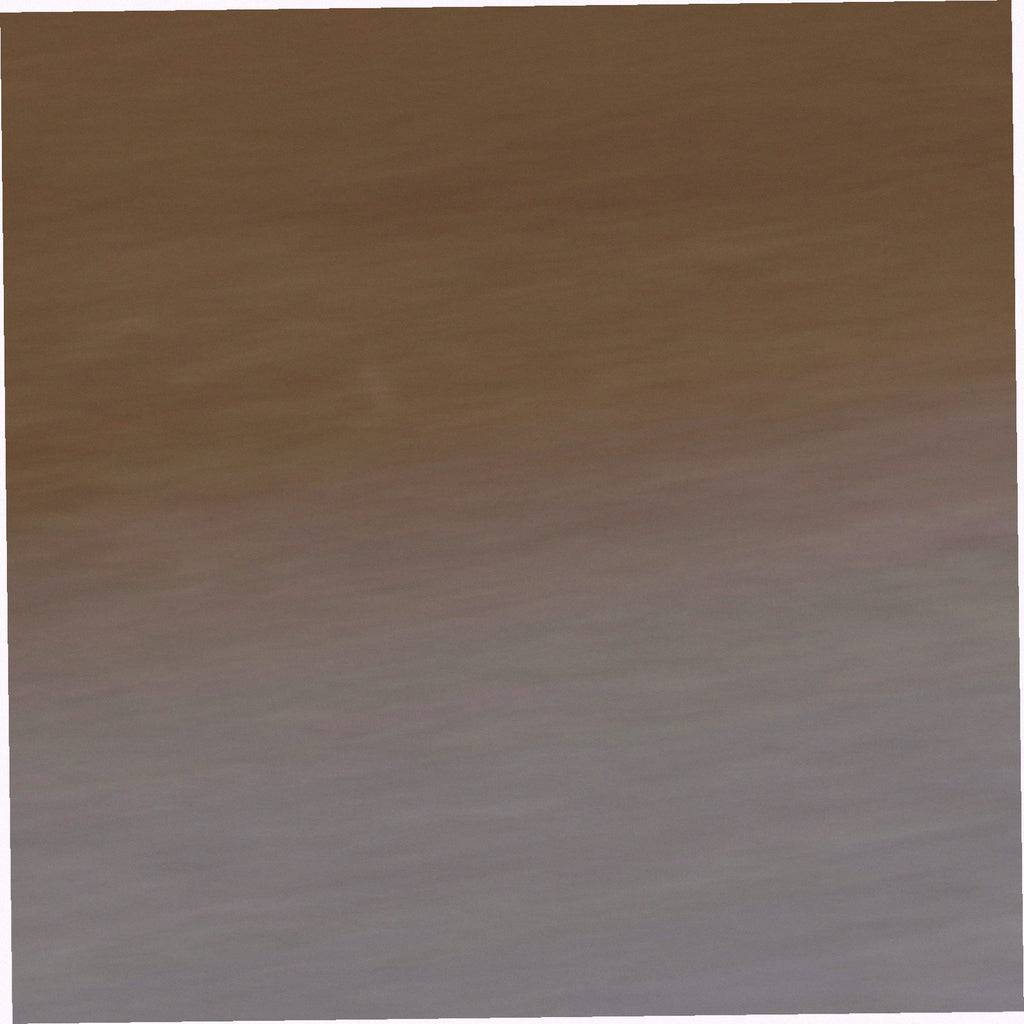 Dall Polarized Sunglasses