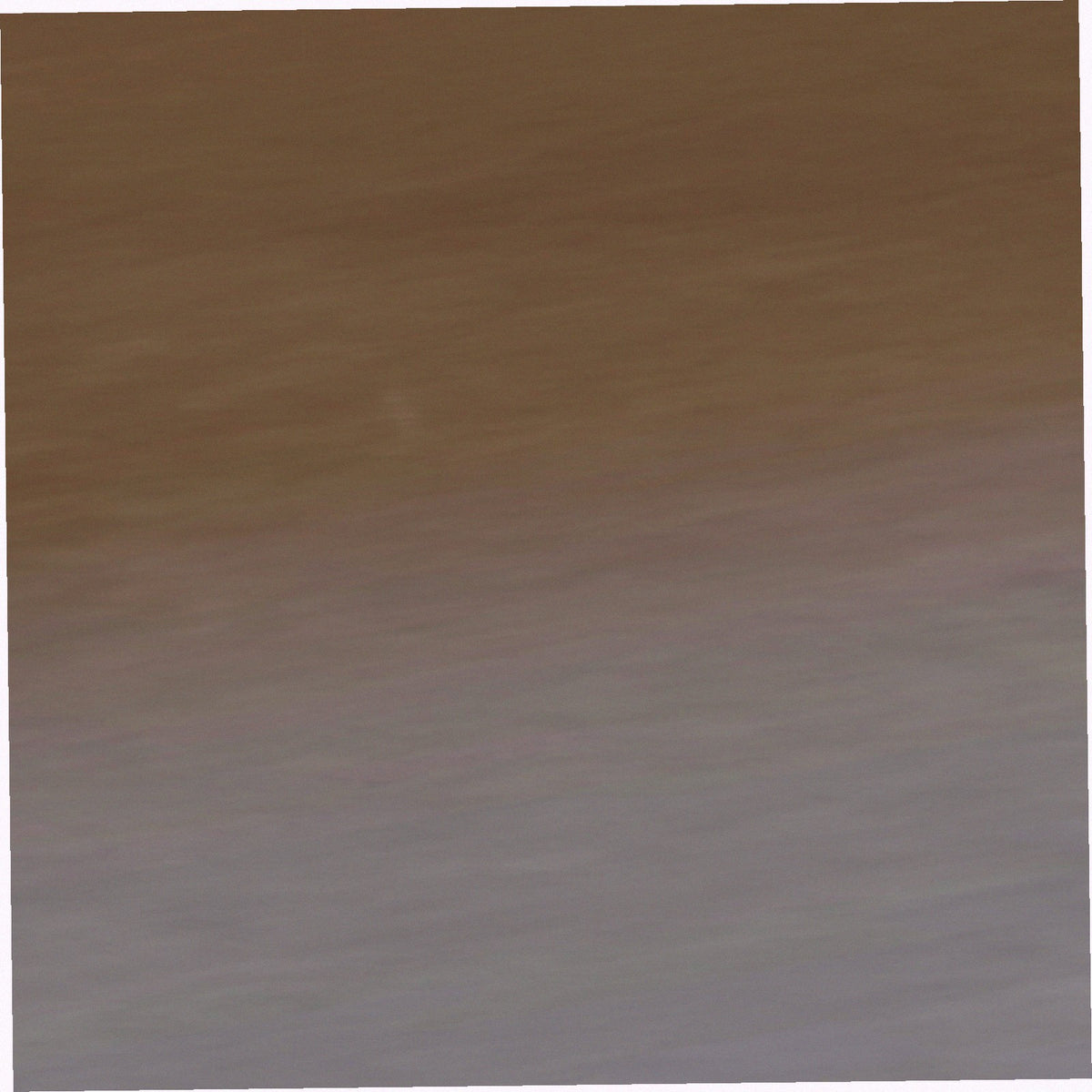 Dall Polarized Sunglasses
