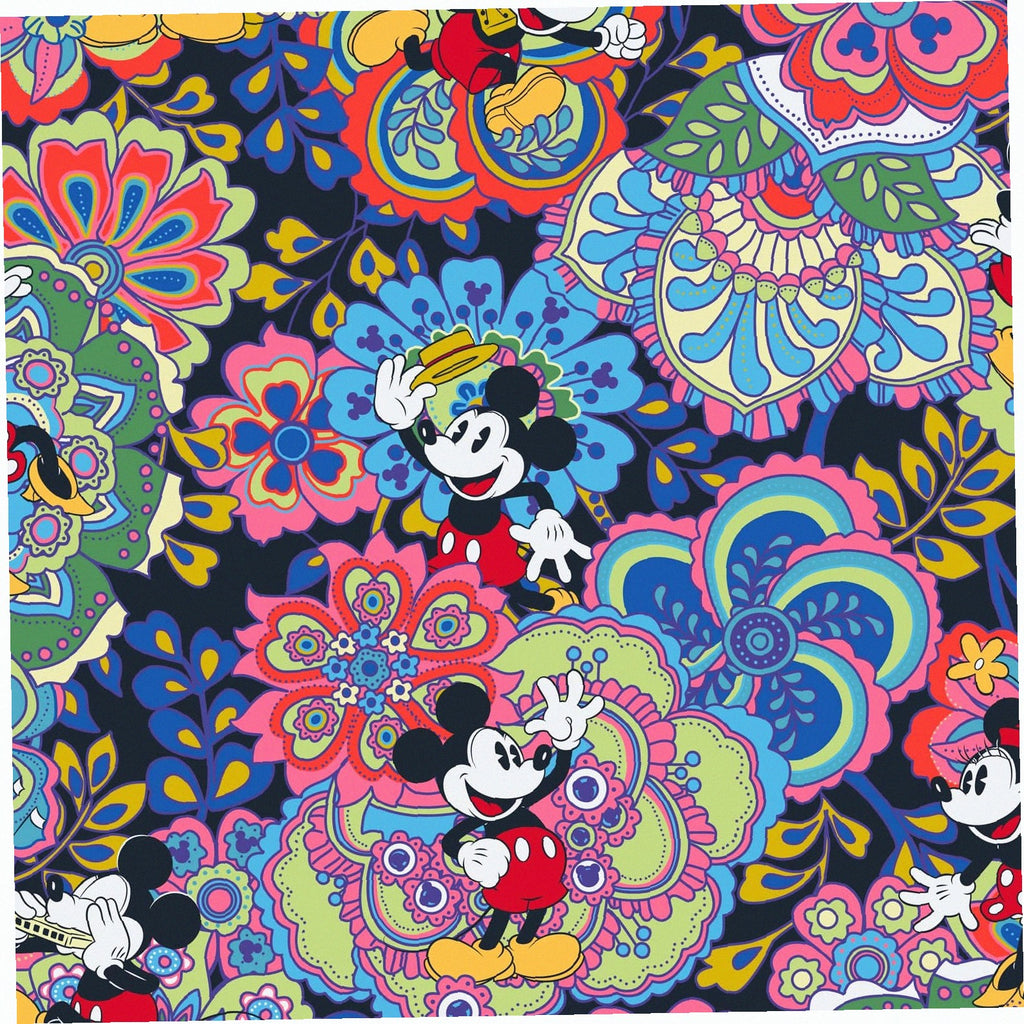 Disney Hanging Organizer