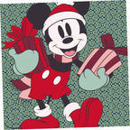 Disney Plush Throw Blanket
