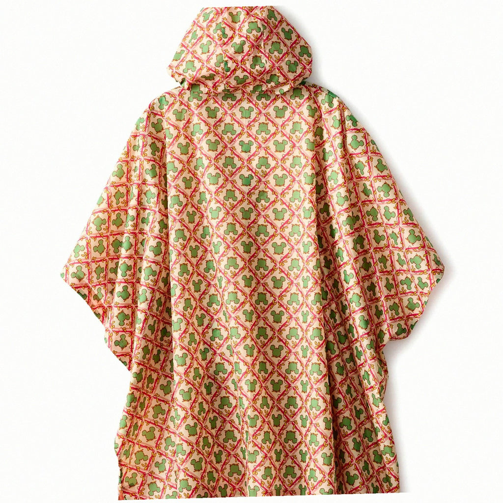 Disney Rain Poncho