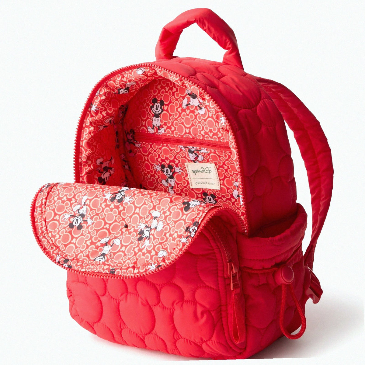 Disney Small Banbury Backpack