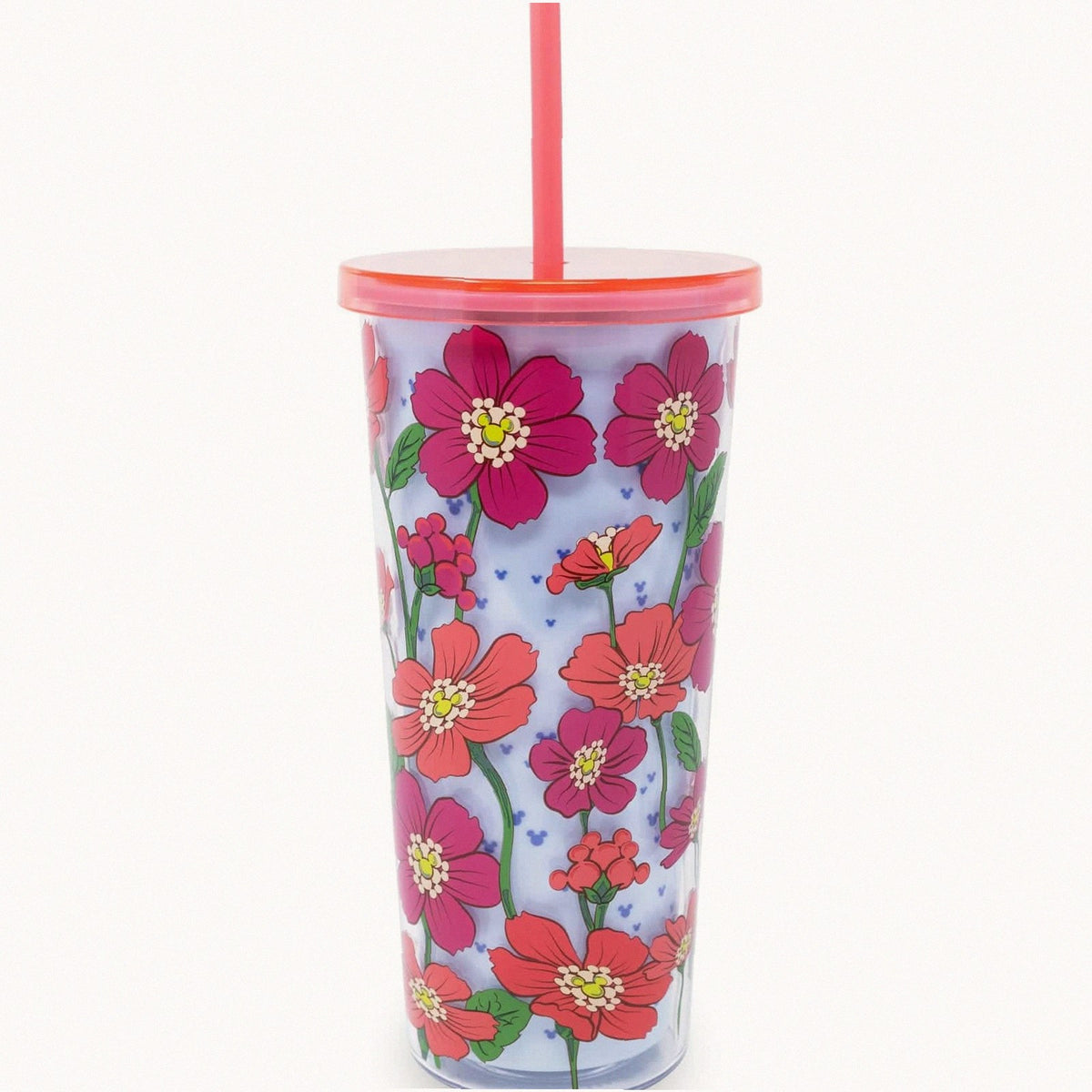 Disney Tumbler with Straw