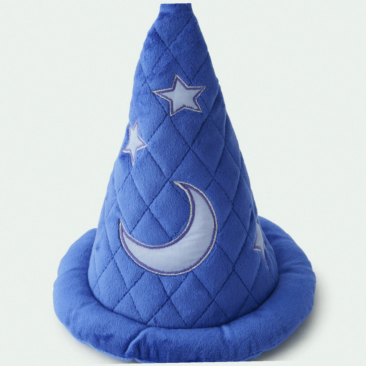 Disney Wizards Hat Cosmetic