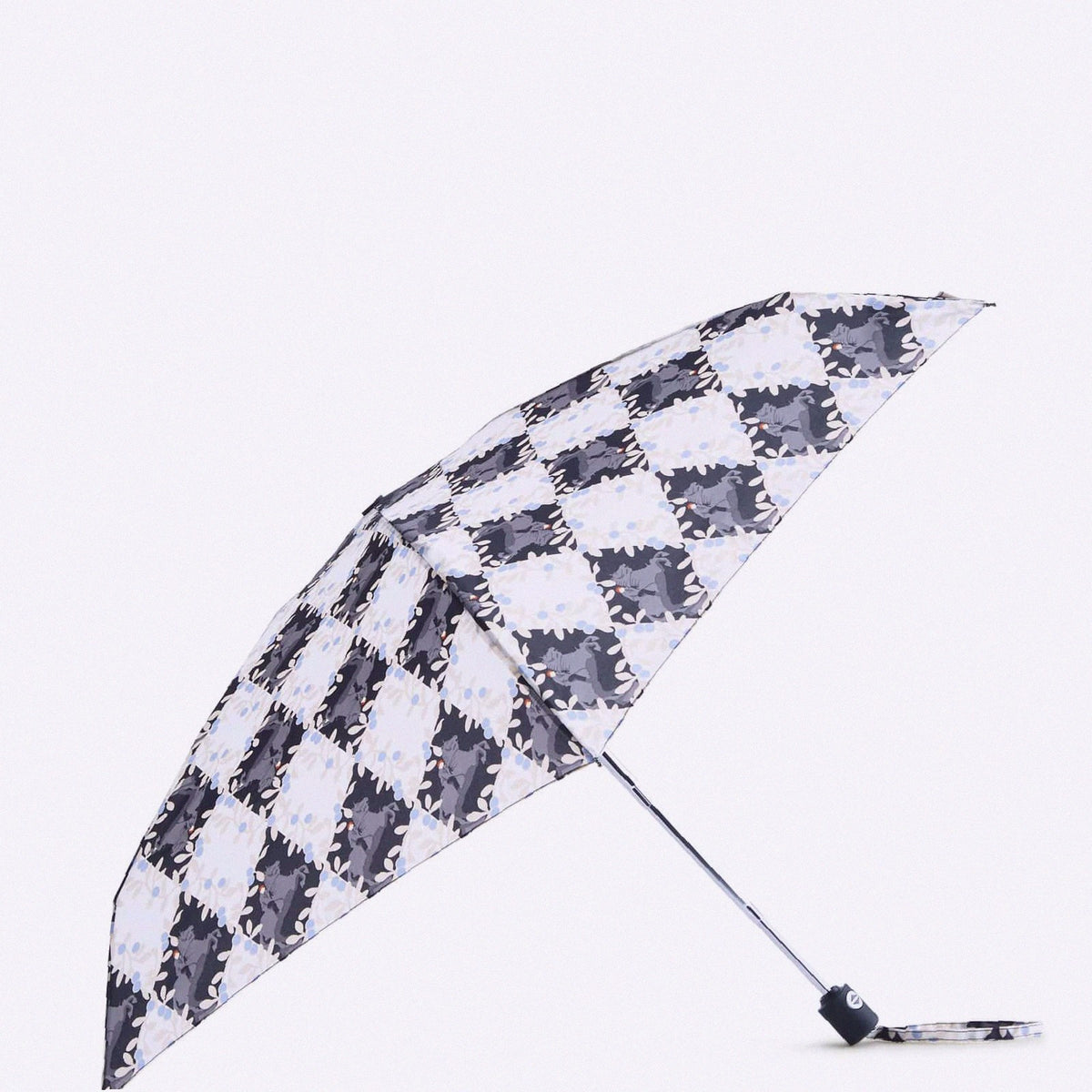 Harry Potter Mini Umbrella