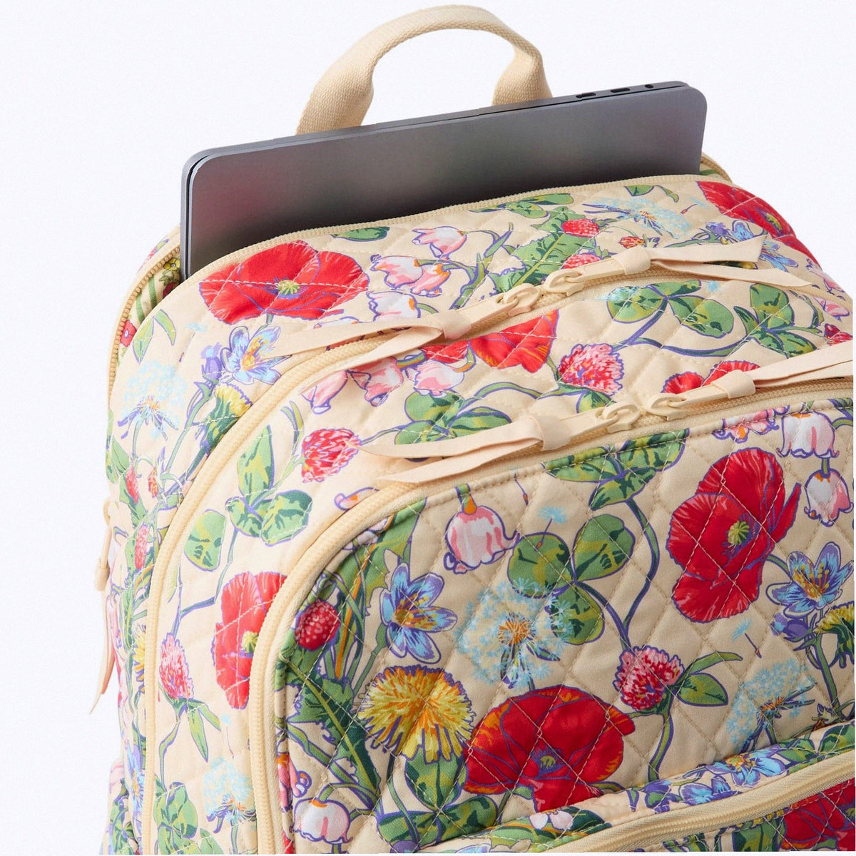 Large Bancroft Backpack