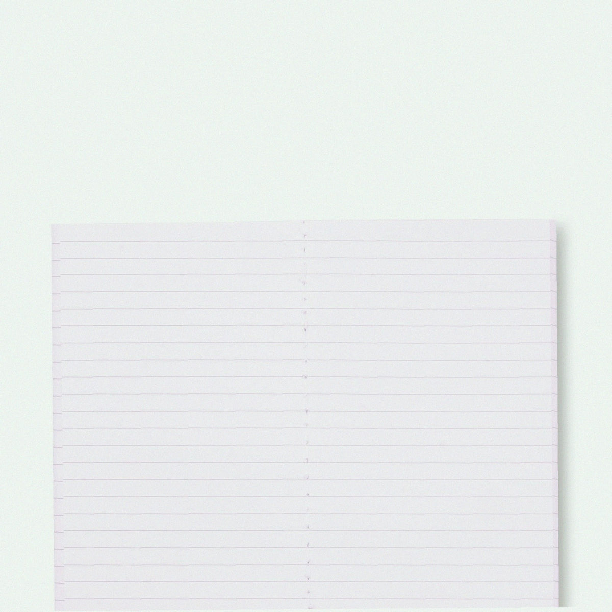 Mini Notebook Set of 2