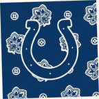 NFL Clear Small Belt Bag