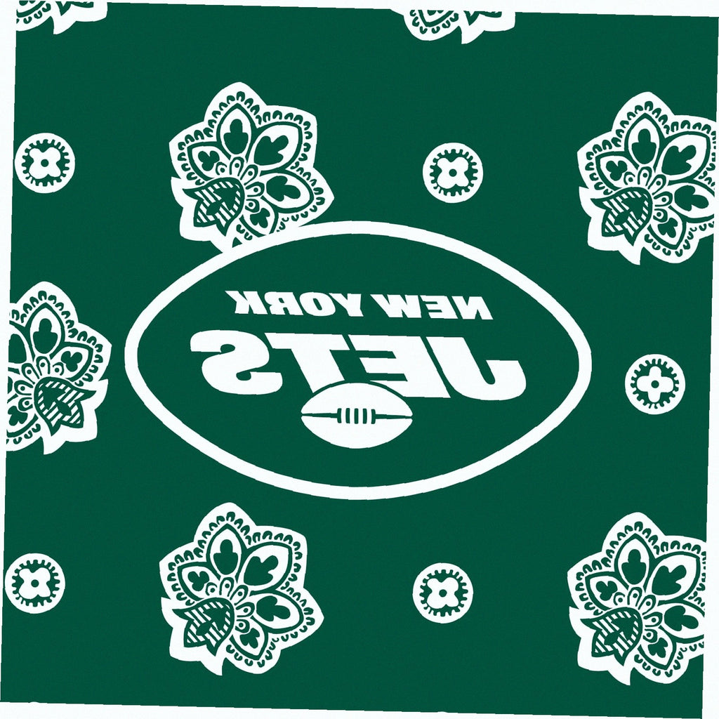 NFL Clear Small Belt Bag