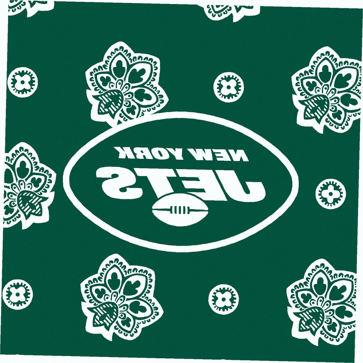NFL Clear Small Belt Bag
