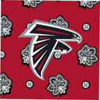 NFL Clear Small Belt Bag