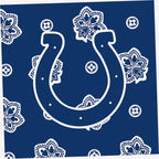 NFL Cooler