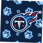 NFL Cooler