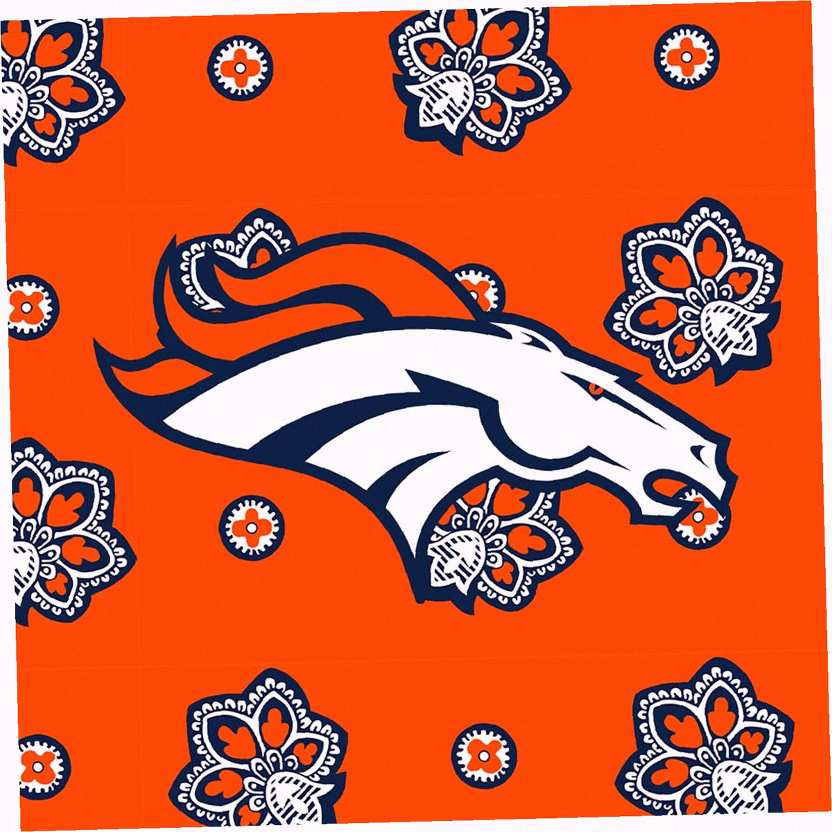 NFL Cooler