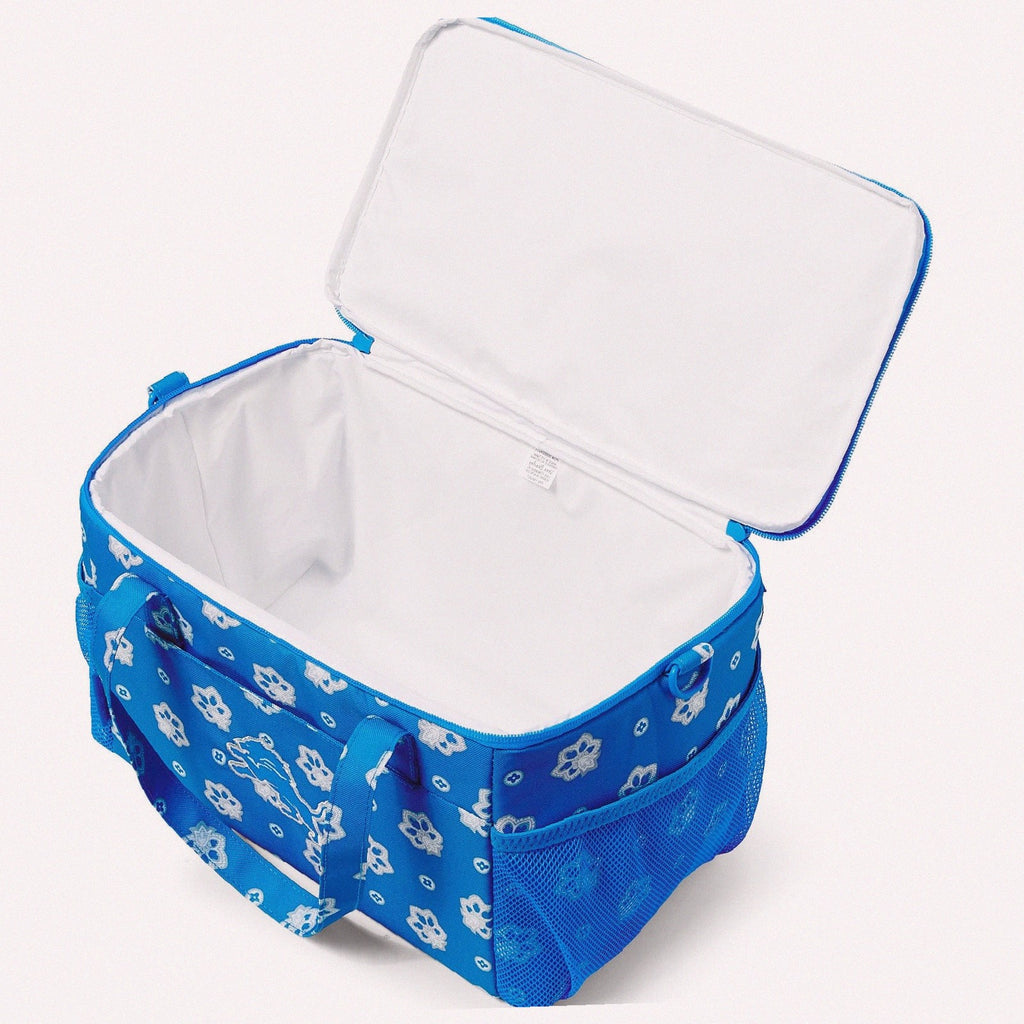 NFL Cooler