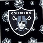 NFL Large Car Tote