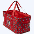 NFL Large Car Tote