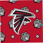 NFL Large Car Tote