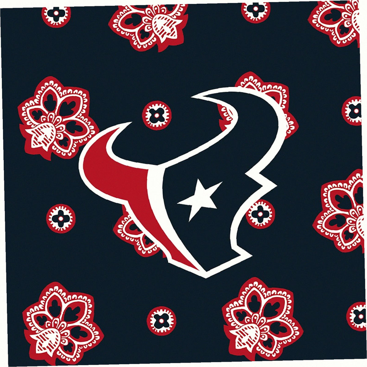 NFL Mini Belt Bag