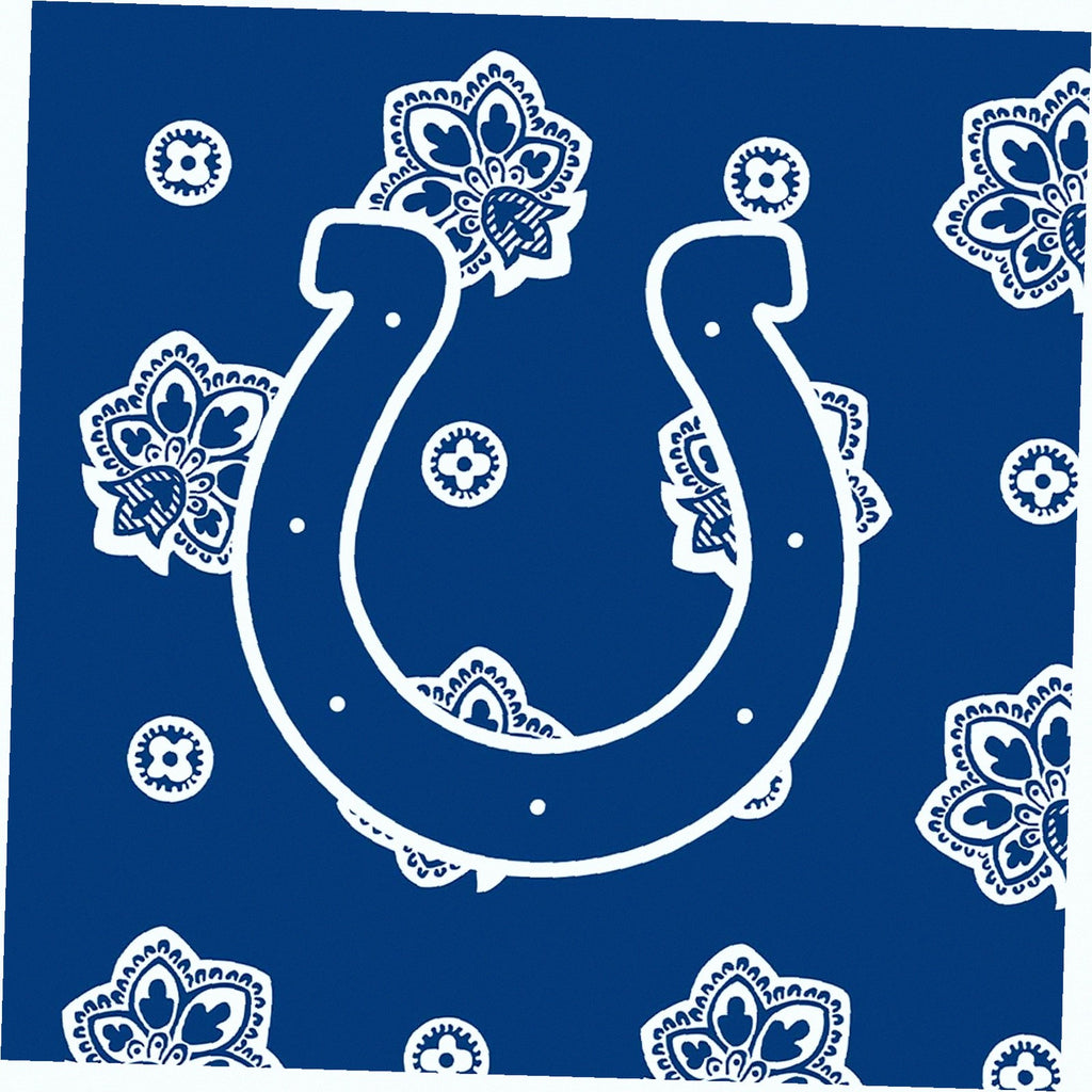 NFL Large Car Tote
