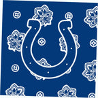 NFL Large Car Tote