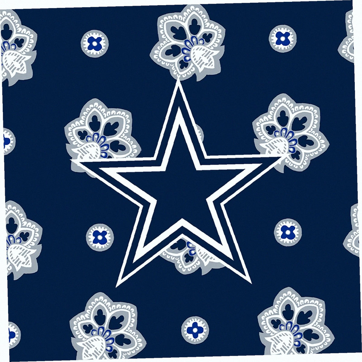 NFL Large Car Tote