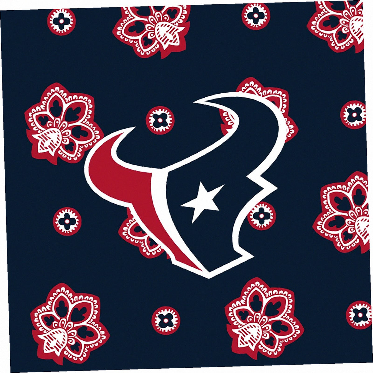 NFL Large Car Tote