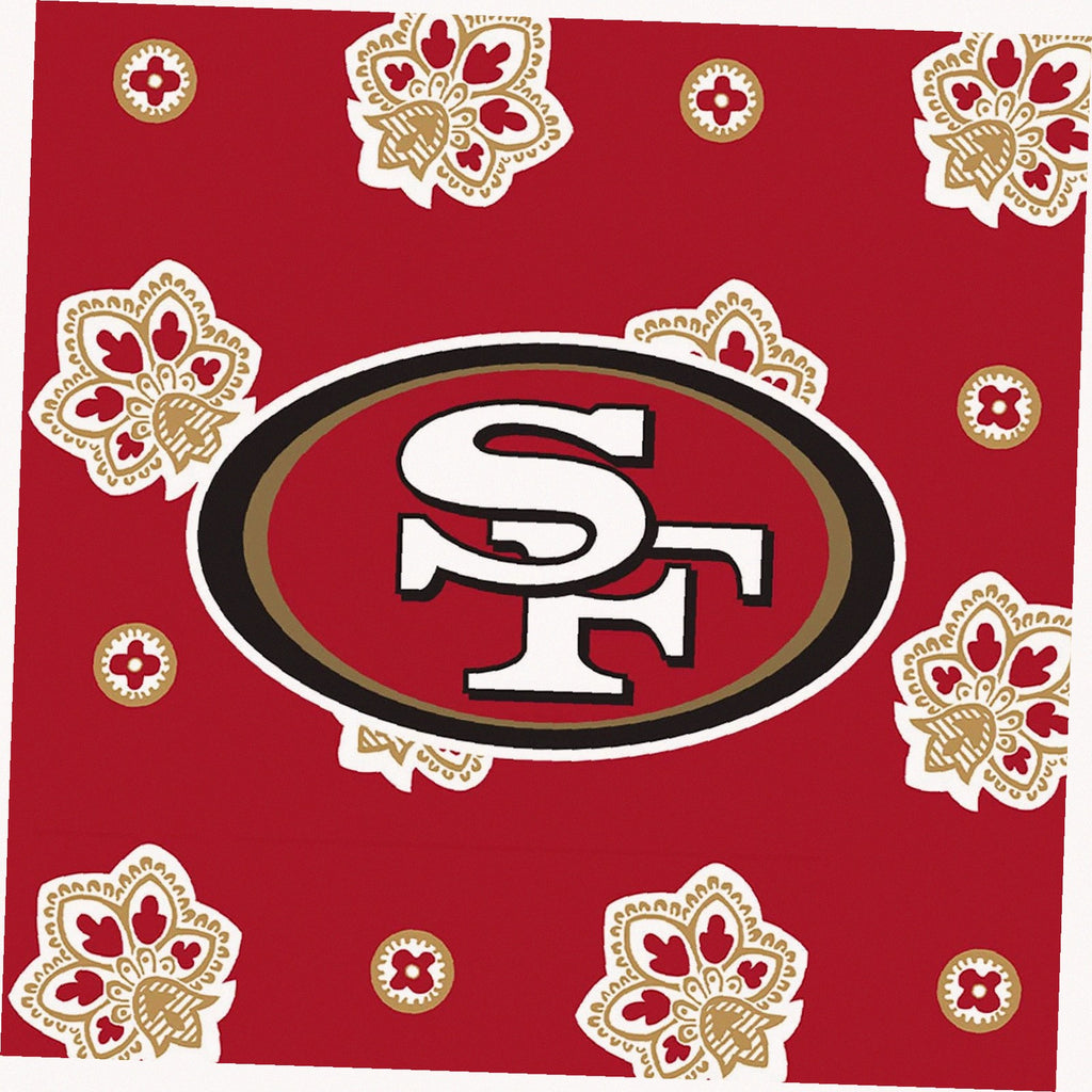 NFL Large Car Tote