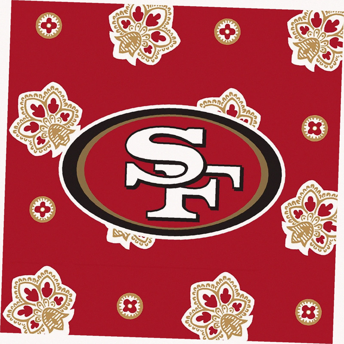 NFL Large Car Tote