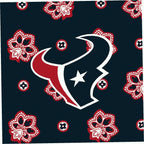 NFL Small Backpack