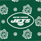 NFL Small Backpack
