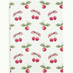 Notebook Set of 3