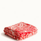 Plush Throw Blanket
