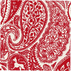 Plush Throw Blanket