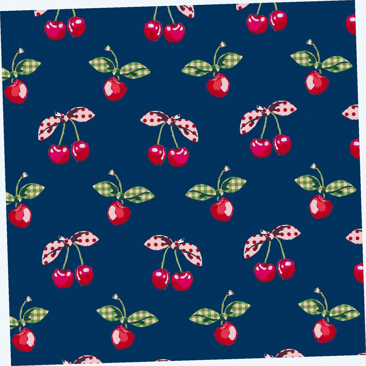 Plush Throw Blanket