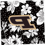 Collegiate Plush XL Throw Blanket