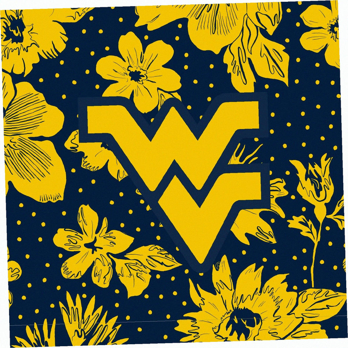 Collegiate Plush XL Throw Blanket