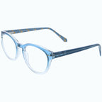 Sheyenne Blue Light Reader
