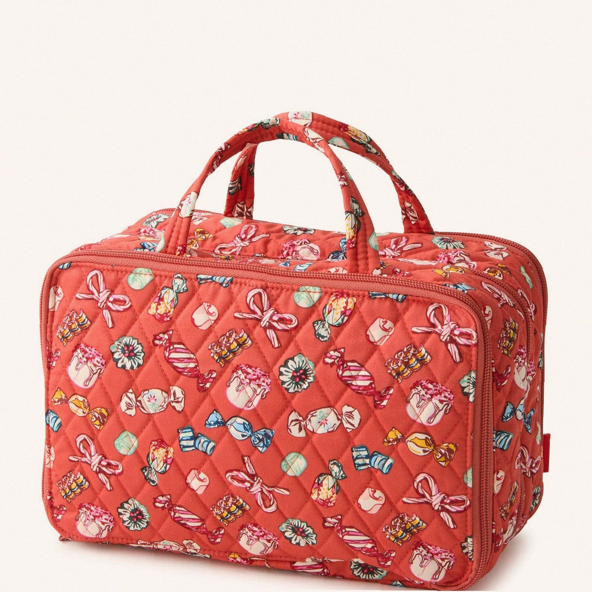 Ultimate Travel Case